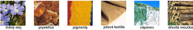 Marmoleum